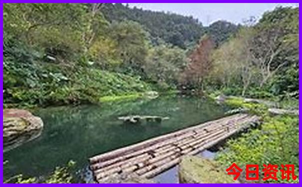 夏天适合老年人旅游的地方有哪些